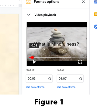 Video Playback