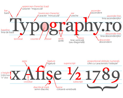 I Love Typography