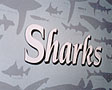 link to MBA sharks exhibit work